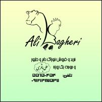 Ali-11 copy.jpg